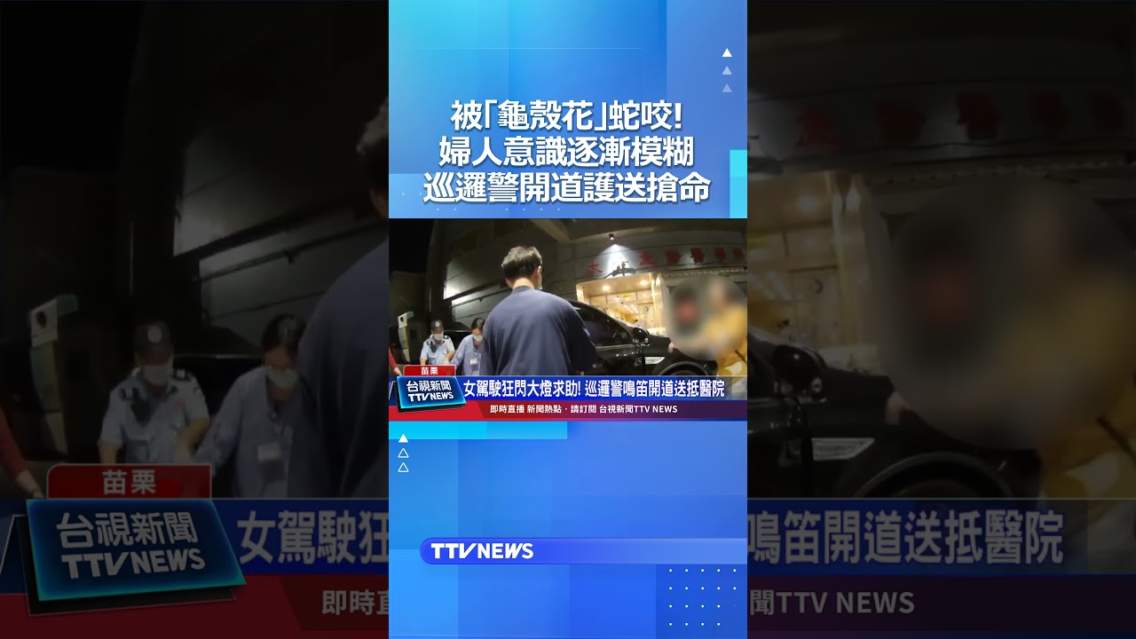 被「龜殼花」蛇咬！婦人意識逐漸模糊 巡邏警開道護送搶命 #龜殼花 #蛇 #員警