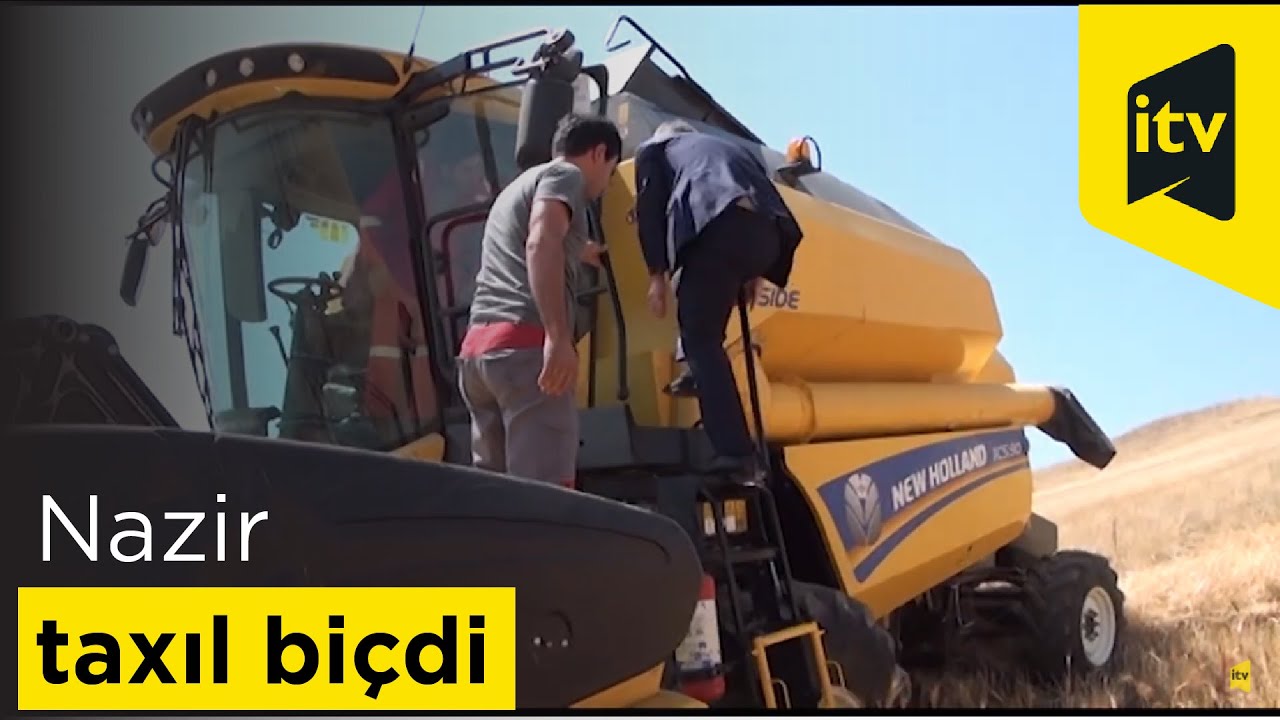Nazir yeni kombaynla taxıl biçdi