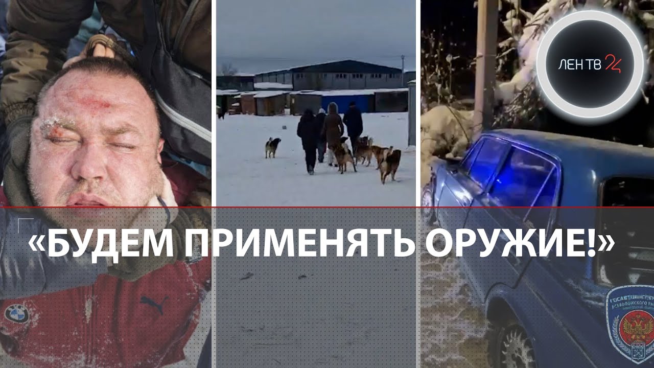 «Спокойно, полиция» | 5000 звонков от мошенников | Собачий концлагерь | Военный билет за 300 тысяч
