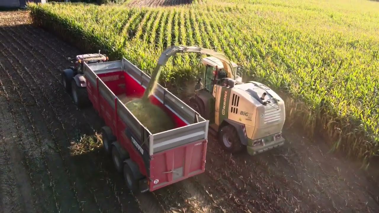 Ensilage🌽avec l’eta cuziat gourio en Bretagne avec la krone big X700