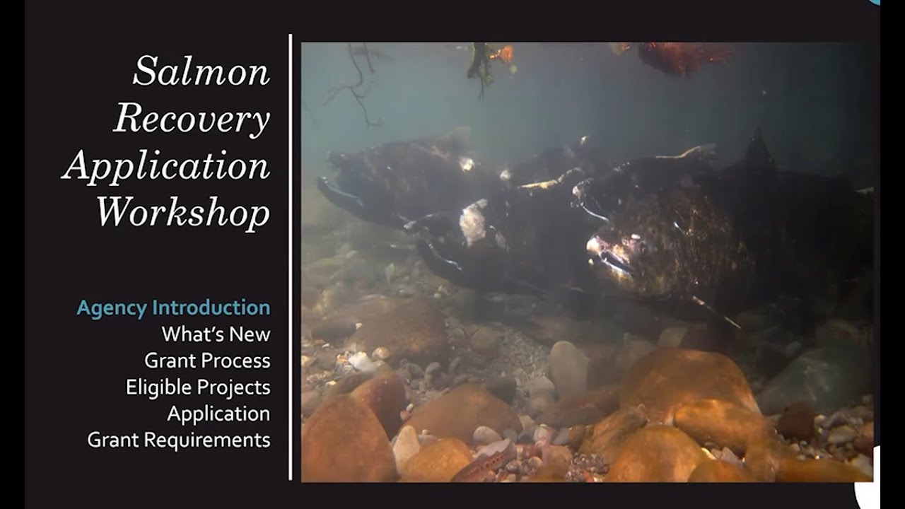 Introduction to Salmon Grants (2025)