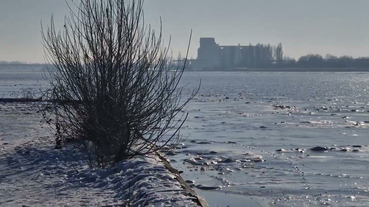 02.02.2026 Piękne okolice Płocka 