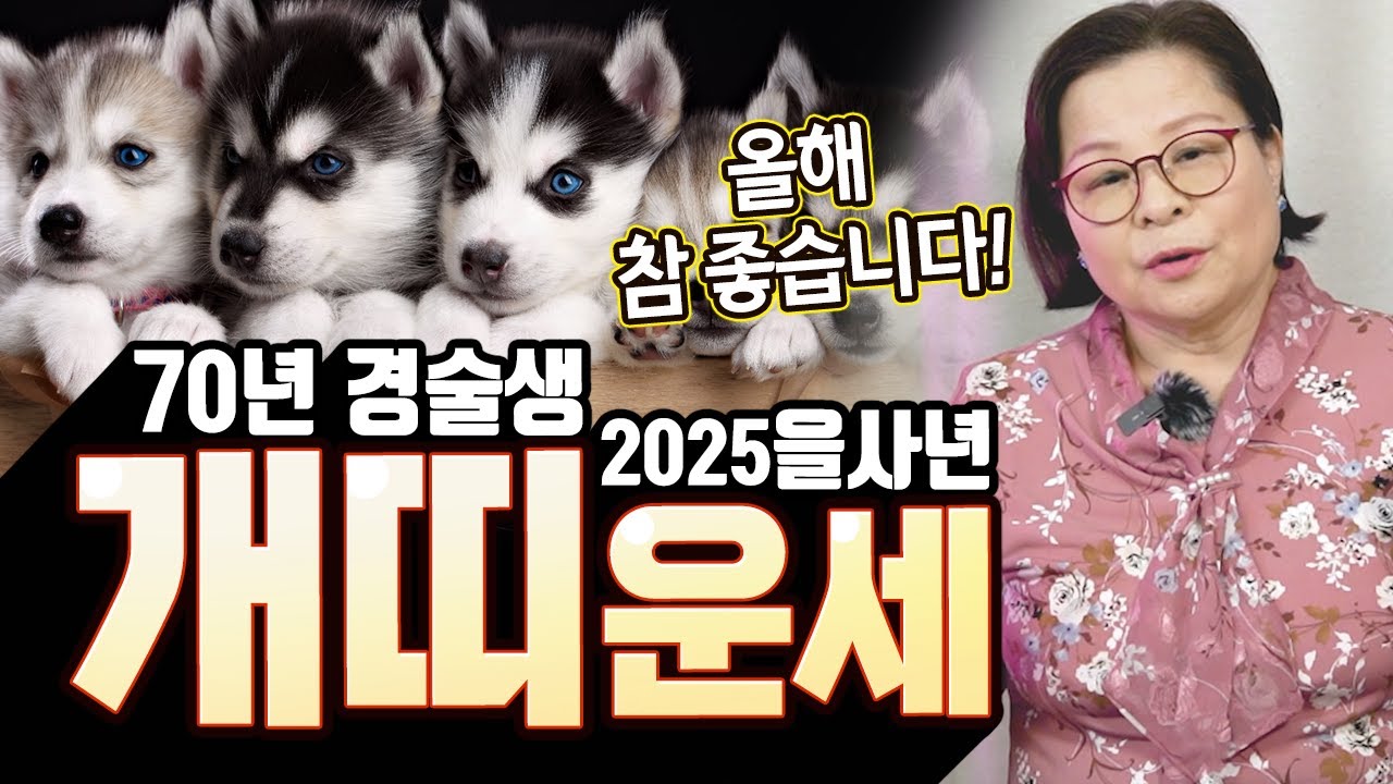 재물운도 좋고 말년운도 좋다! 2025을사년 70년 경술생 개띠운세! [금화신궁]