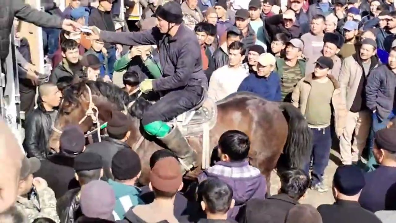 Asosiy lahzalar 35:55 - 40:55, 08.02.2026 URGUT pochvan ko'pkarisi
