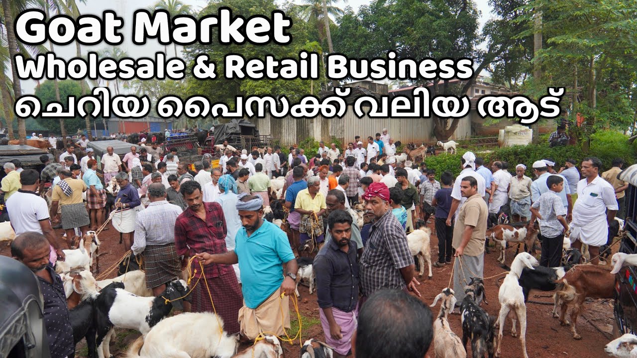 ആട് ചന്ത | Wholesale and Retail Goat Market | Goat market | Mutton | Chattipparamba Cattle Market