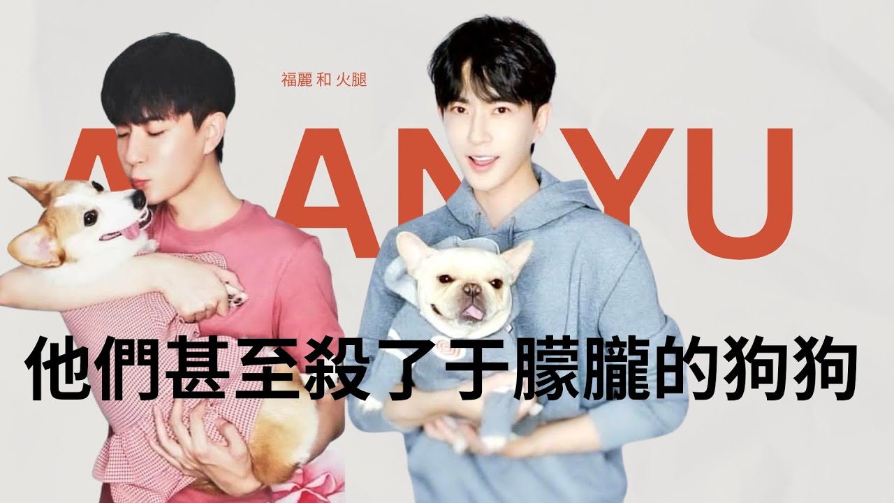 他們甚至殺了于朦朧的狗狗⋯⋯