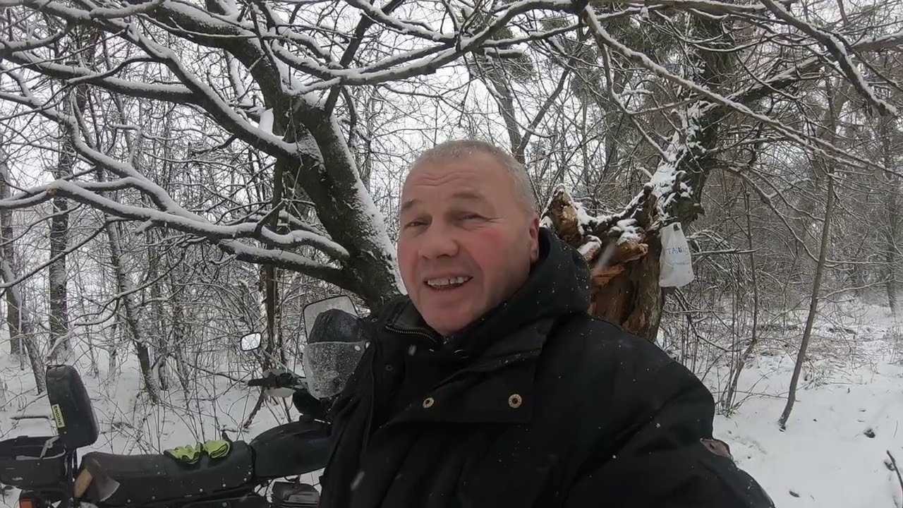 Перший сніг