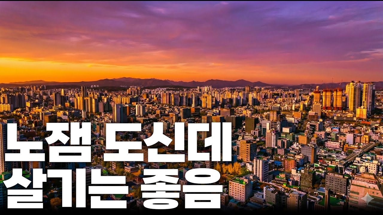 노잼 도시지만 만족하는 이유