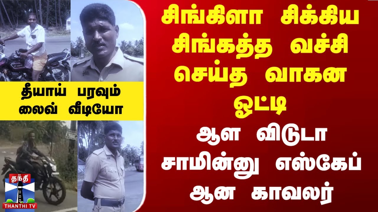 சிங்கிளா சிக்கிய சிங்கத்த வச்சி செய்த வாகன ஓட்டி.. ஆள விடுடா சாமின்னு எஸ்கேப் ஆன காவலர் -லைவ் வீடியோ