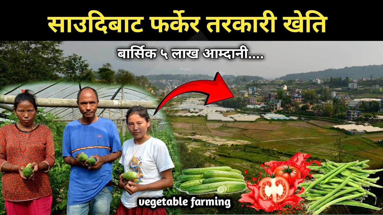 गरे के हुन्न रैछ र - Vegetable farmin in Nepal - Tarkari Kheti - Nil Tmg