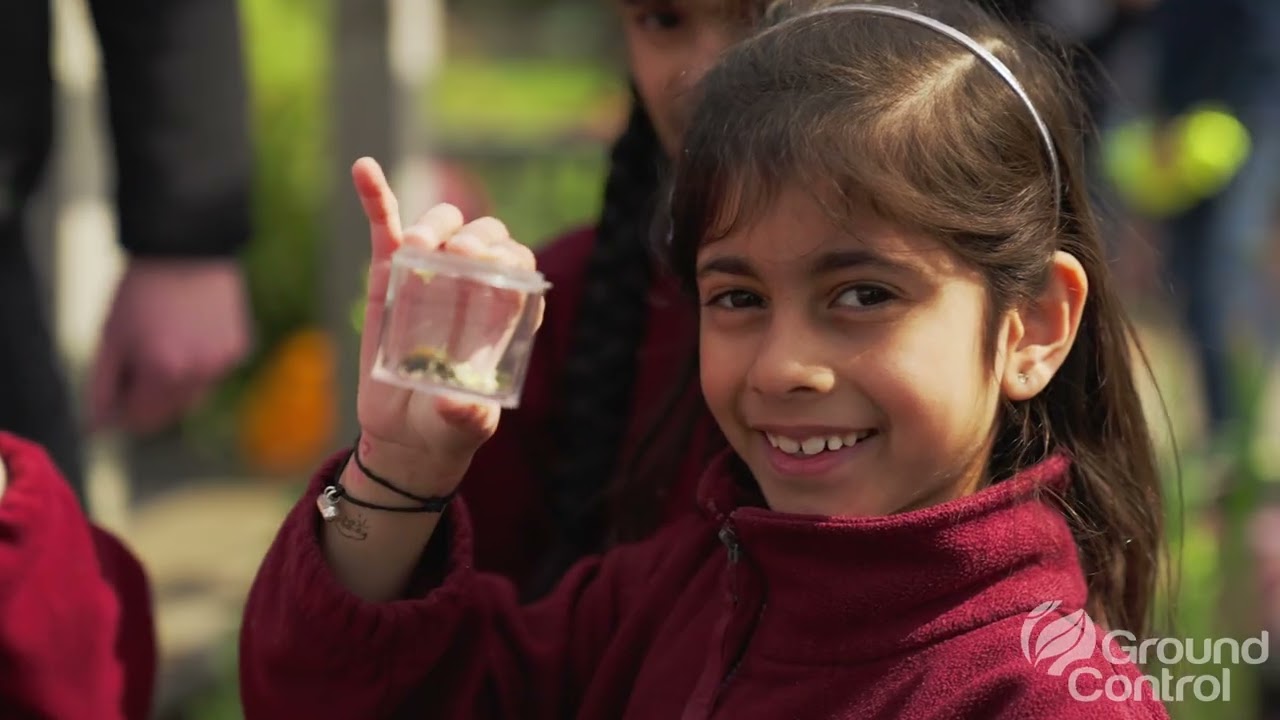 Inviting nature back to Pinner Park Primary School with the Bumblebee Trust