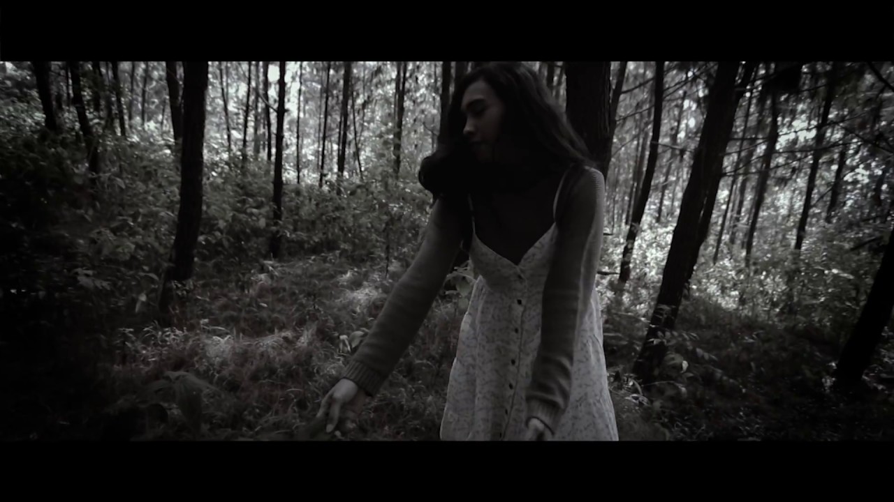 Vein Of Valor - D Minus 70 (Official Music Video )