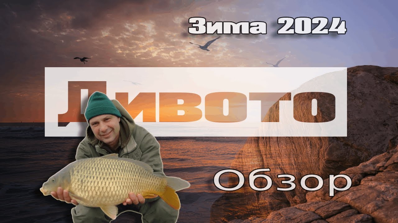 Риболов на шаран: Тактики в зимния риболов (2024)