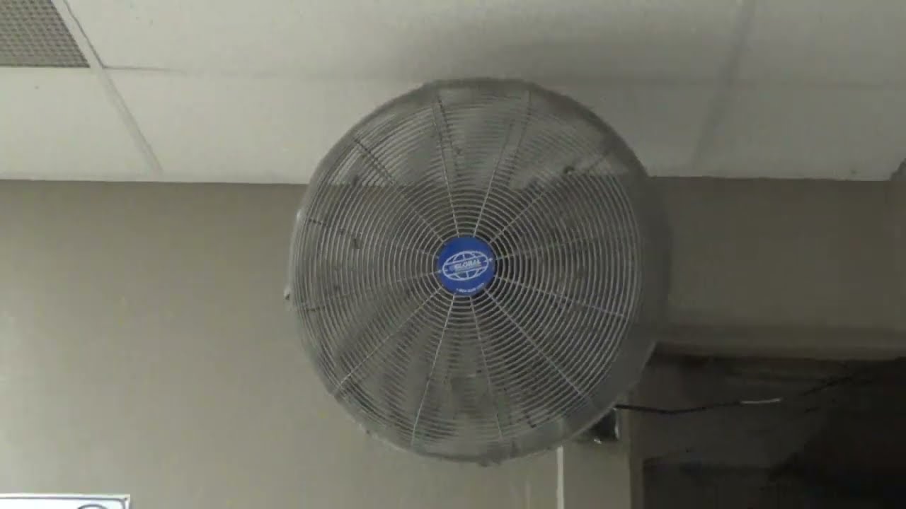 Global Oscillating Industrial Wall Fan
