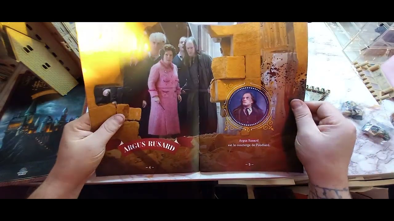 VIDEO CH&Acirc;TEAU HARRY POTTER