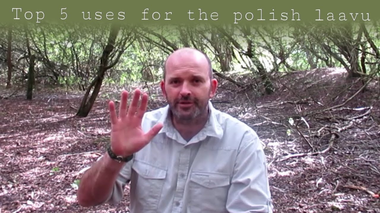 Top 5 uses for the Polish Laavu