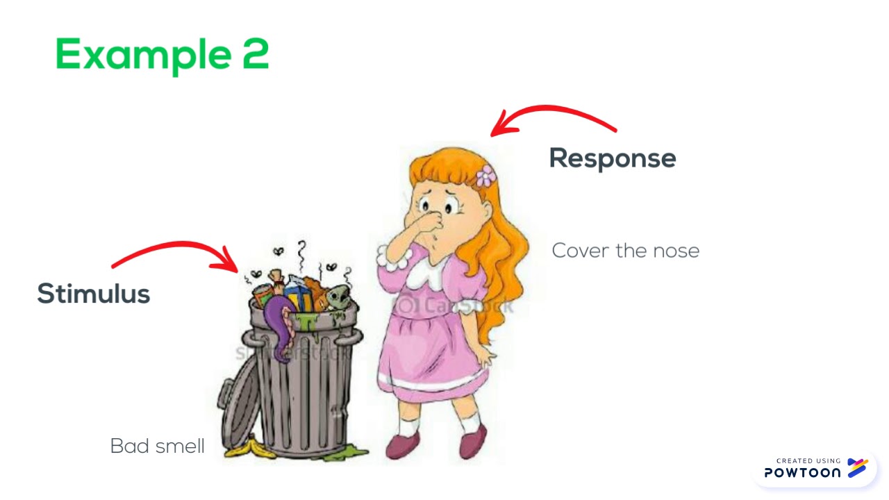 Stimulus & Response #TMU1043
