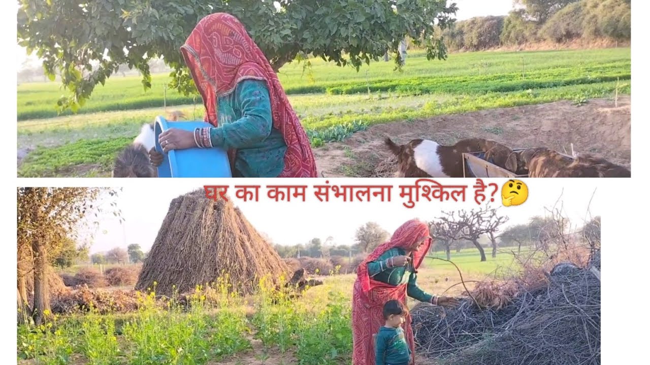 घर का काम संभालना मुश्किल है?🤔👍