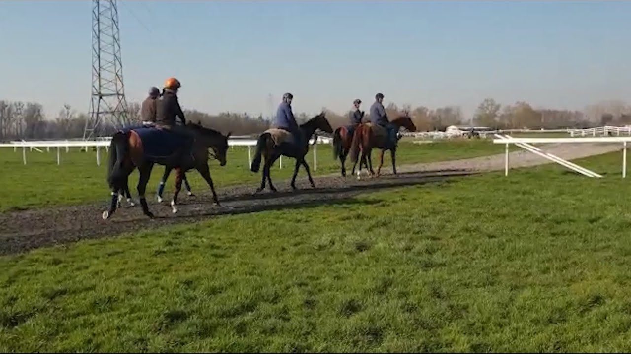 LSV Passage de route