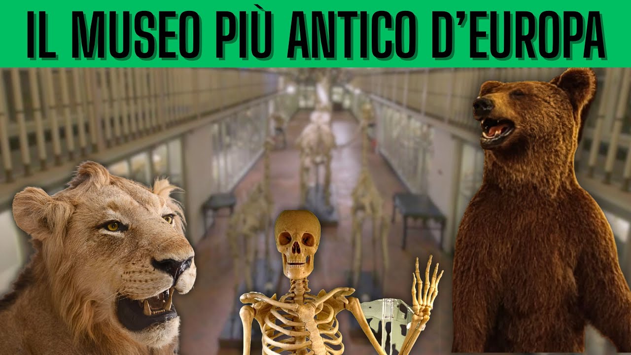 VISITO IL MUSEO DI STORIA NATURALE PIÙ ANTICO D'EUROPA! TOUR COMPLETO 4K