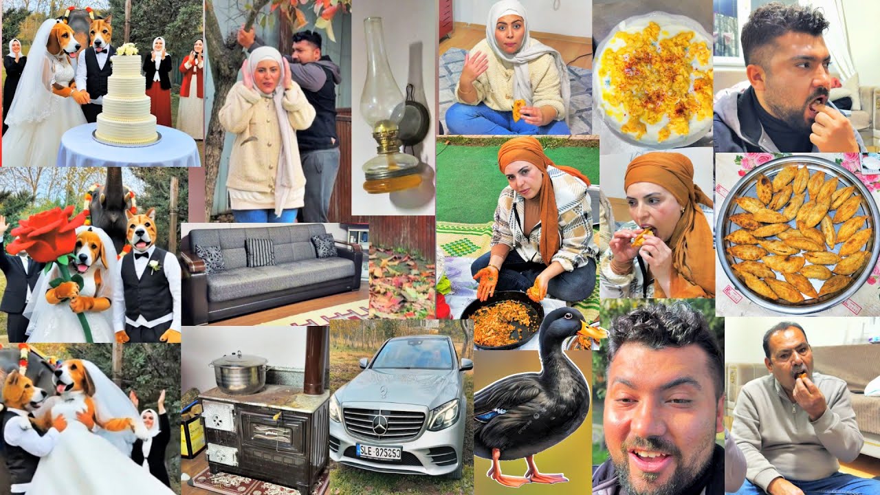طبخنا أكلة أول مرة تسمعو فيه(شمشاموك)//اشترينا بطات أسود🦆//عرس للكلاب في بيت الضيعة 