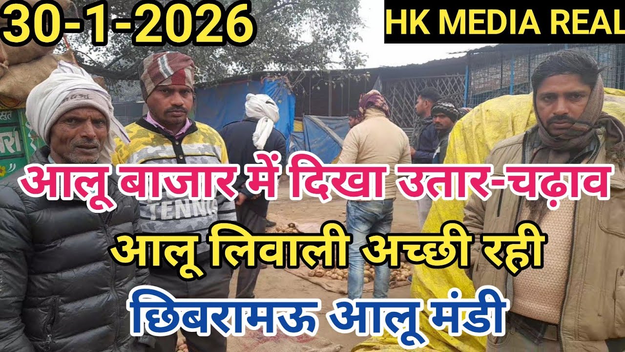 30- जनवरी-2026- आलू बाजार में दिखा उतार-चढ़ाव, बाजार रहे स्थिर,  निगम मंडी छिबरामऊ कन्नौज 