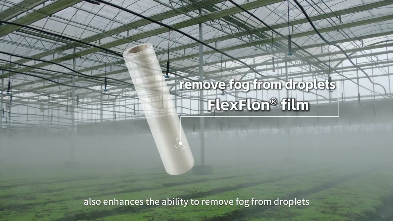 FlexFlon® Film: The Ultimate Solution for Extreme Chemical Resistance & High-Temp Lining