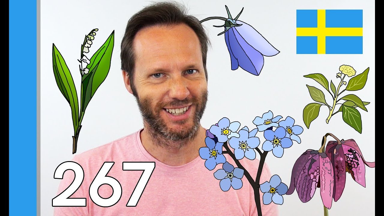 Learn Sweden's State flowers - 10 Swedish Words #267