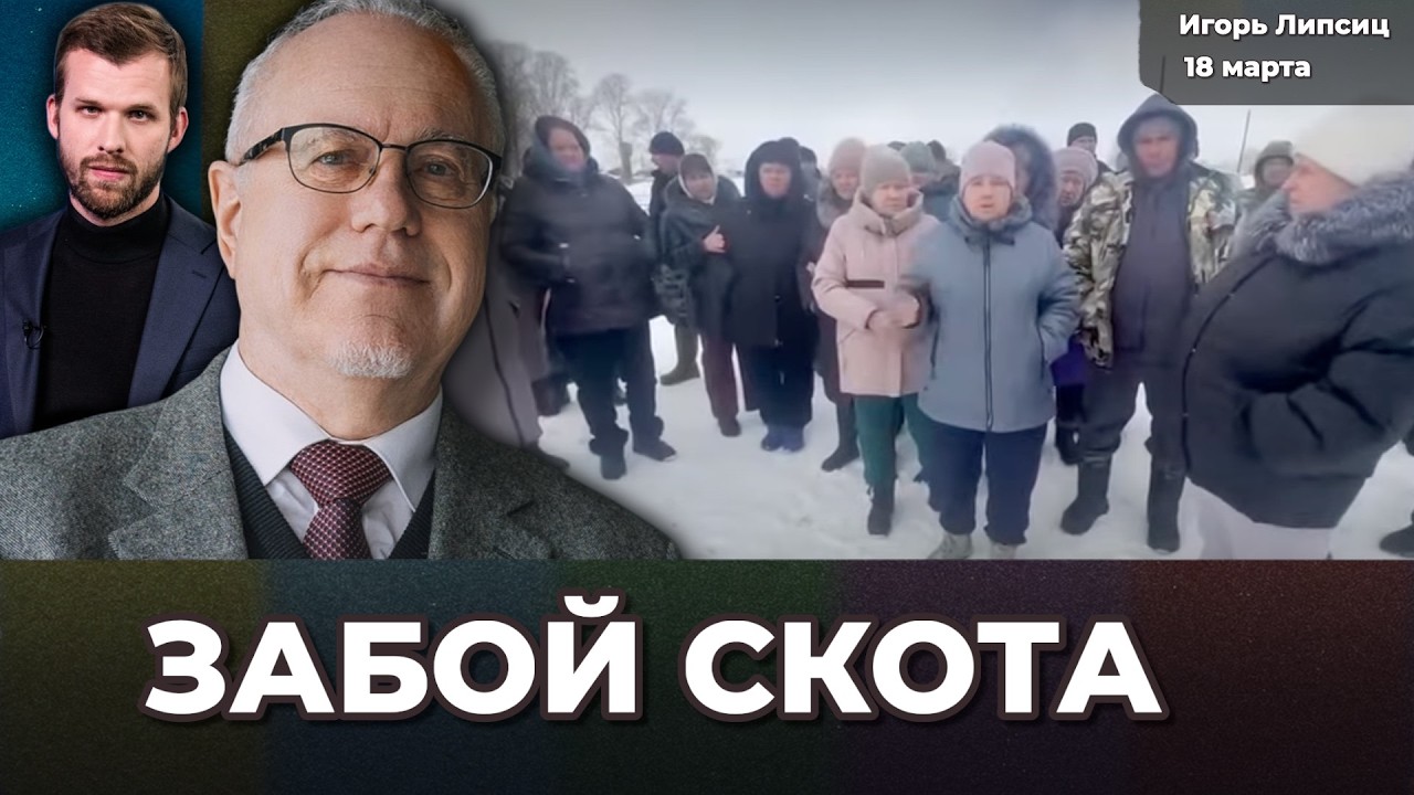 Рубль падает. Забой скота – зачем? Эффект от отключения интернета. Инфляция растет | Игорь ЛИПСИЦ