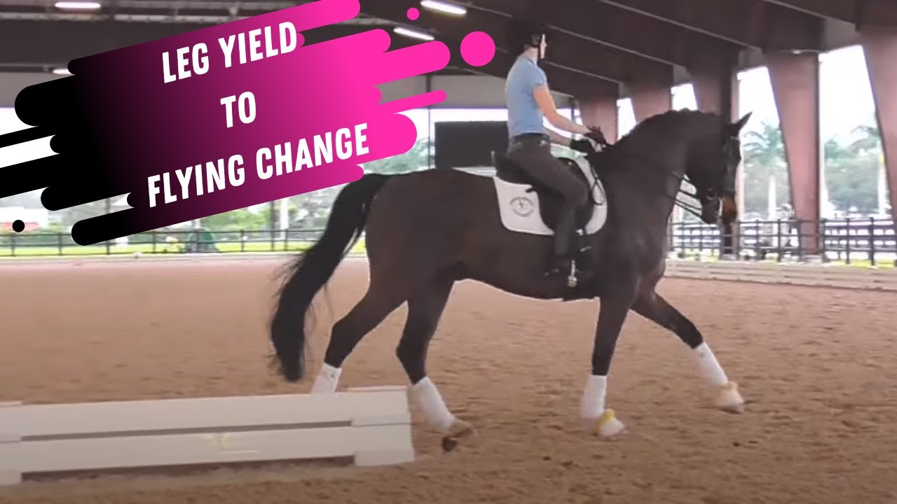 Leg Yield To Flying Changes In Dressage With Charlotte Bredahl