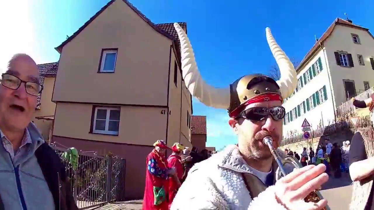 Faschingsumzug in Erlenbach
