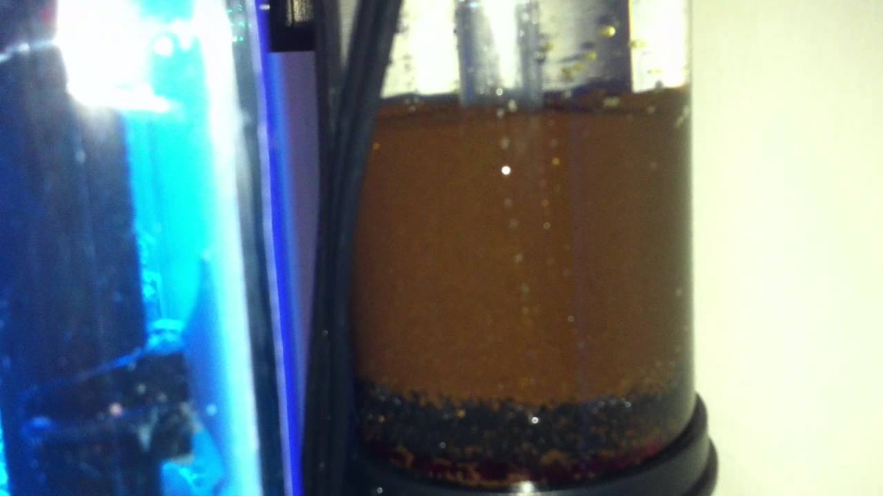 Phosban Reactor 150 in action