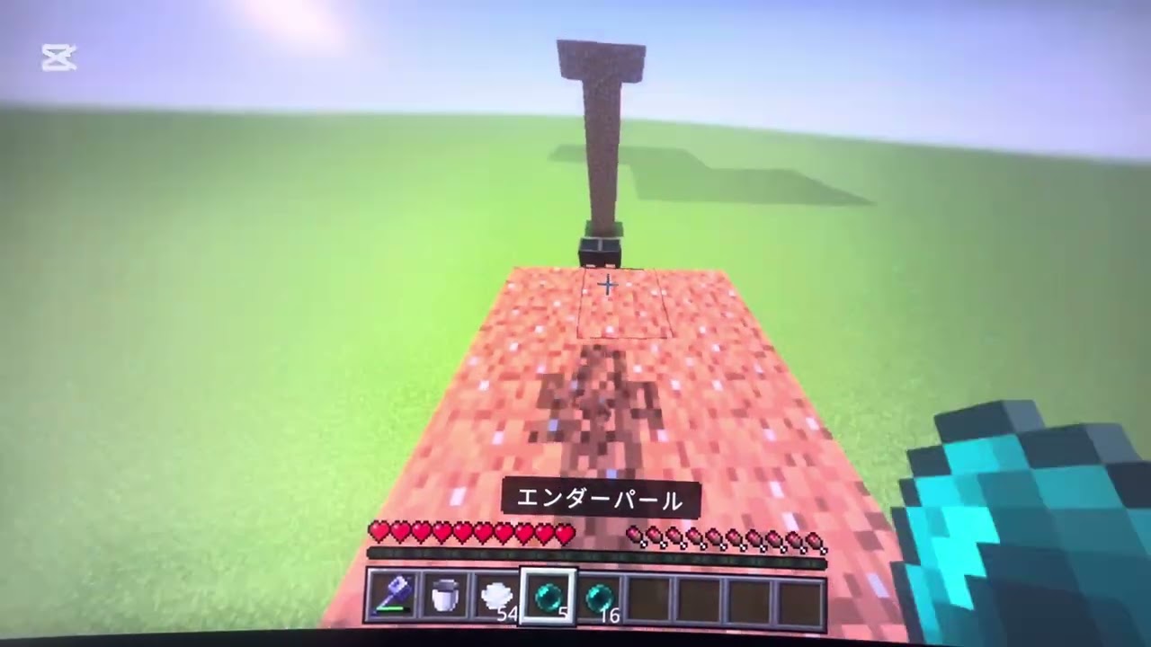 神業　マイクラ