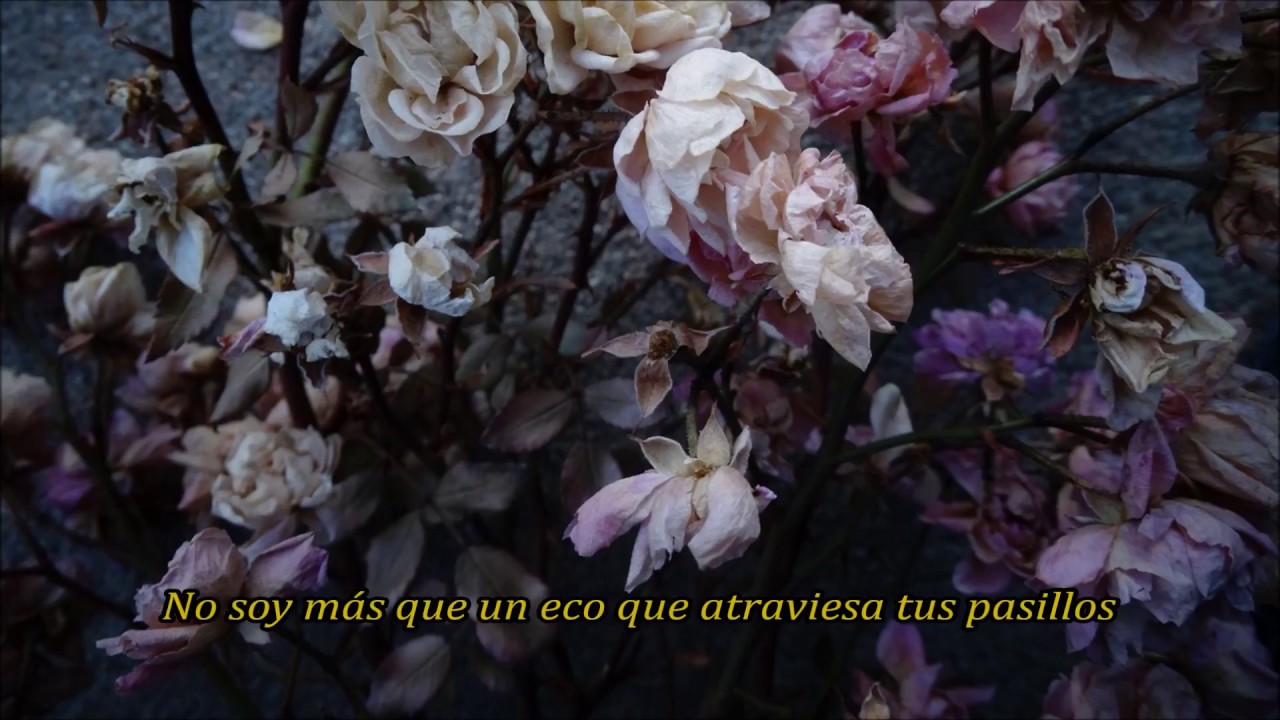 Citizen - Flowerchild (Sub Español)