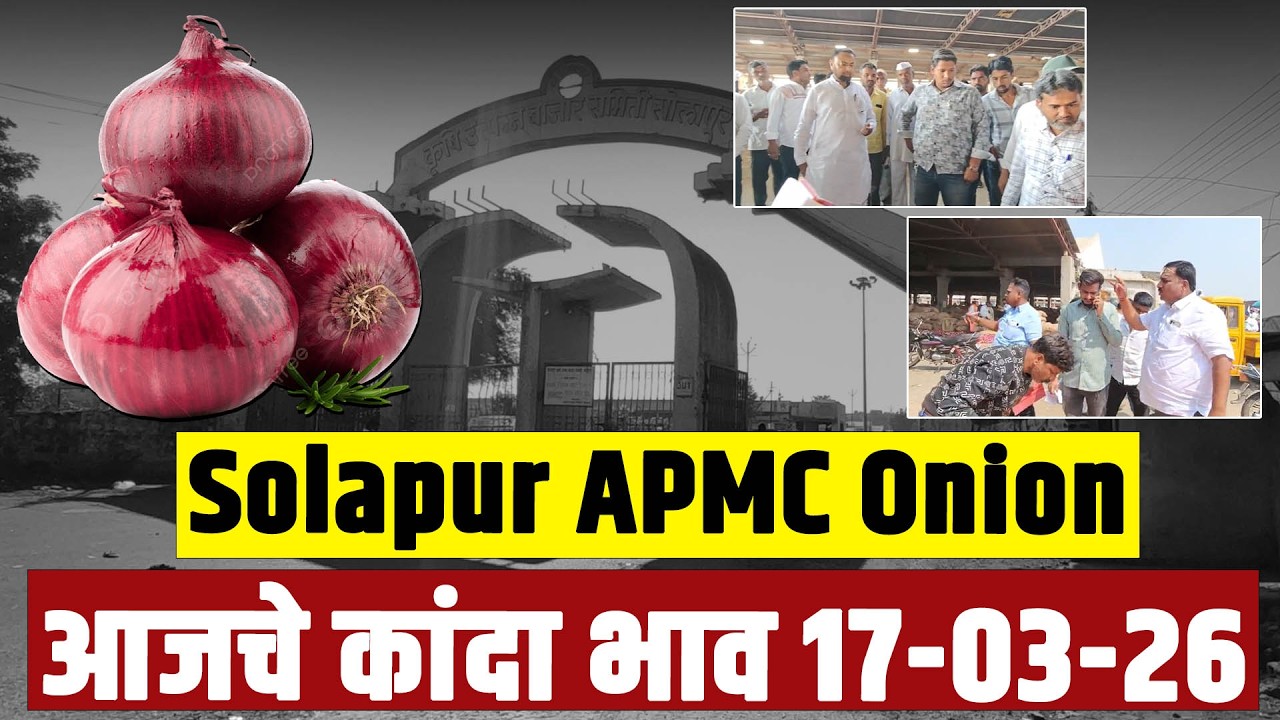Solapur APMC Onion : आजचे कांदा भाव 17-03-26