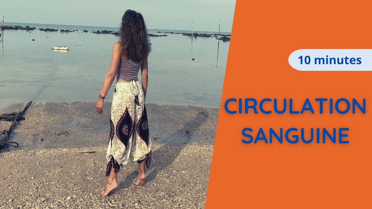 Circulation sanguine jambes, retour veineux - les meilleurs exercices