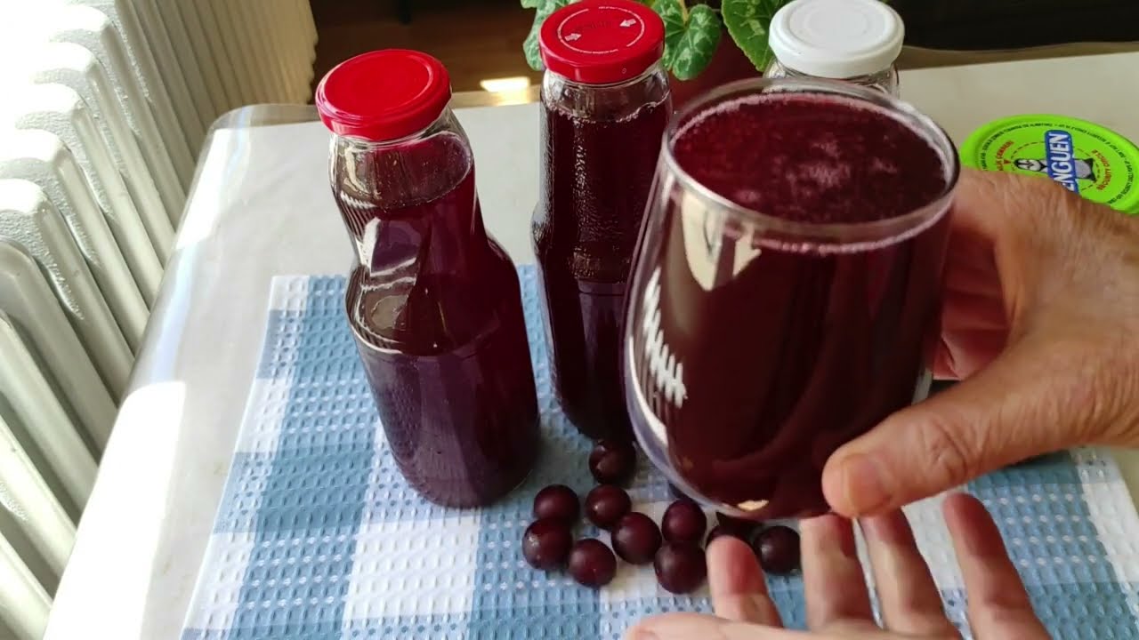 Yıllarca Kalsa Bozulmaz  Erik Suyu Konsentresi  Nasıl Yapılır