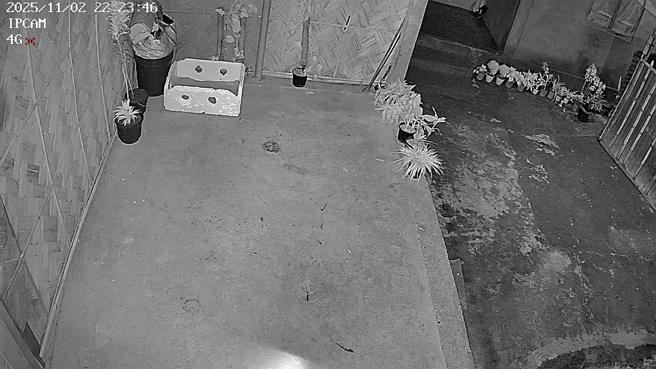 Bhoot nekla he 👻🎃☠️