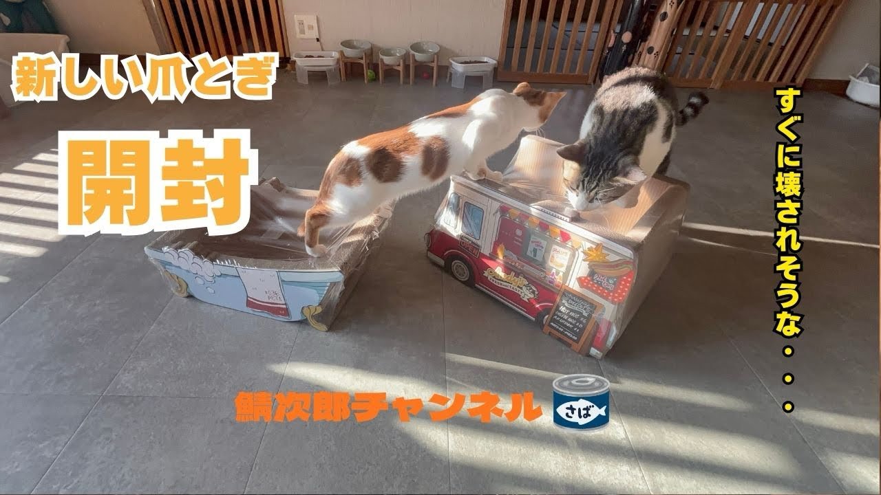 【新しい爪研ぎ　開封】