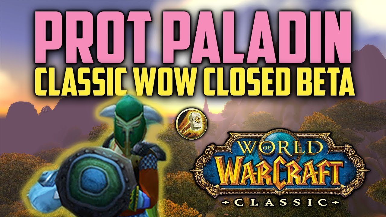 Prot Paladin Tanking in Classic WoW Closed Beta (Level 30)