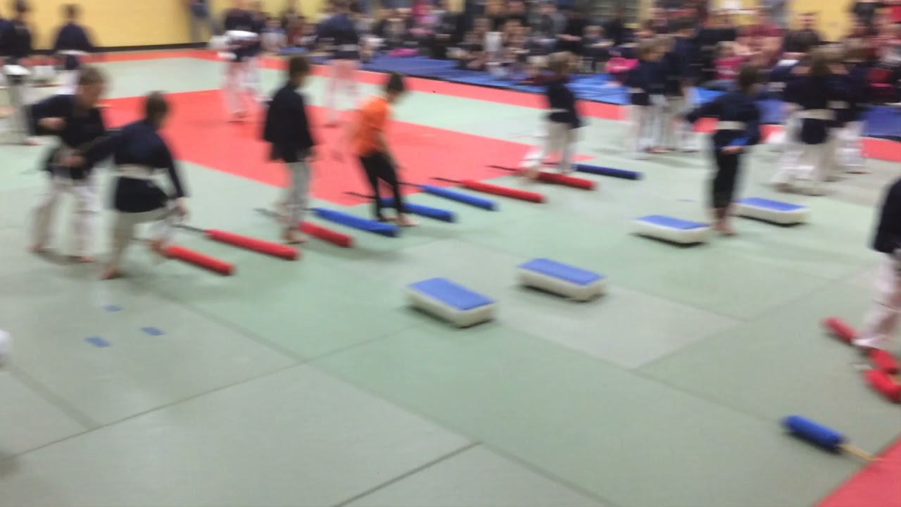 Yoseikan Budo 4-6 ans
