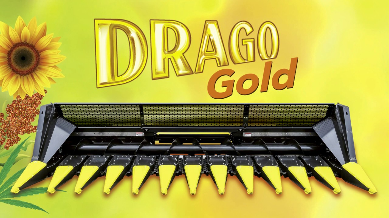 Olimac Drago Gold - GER