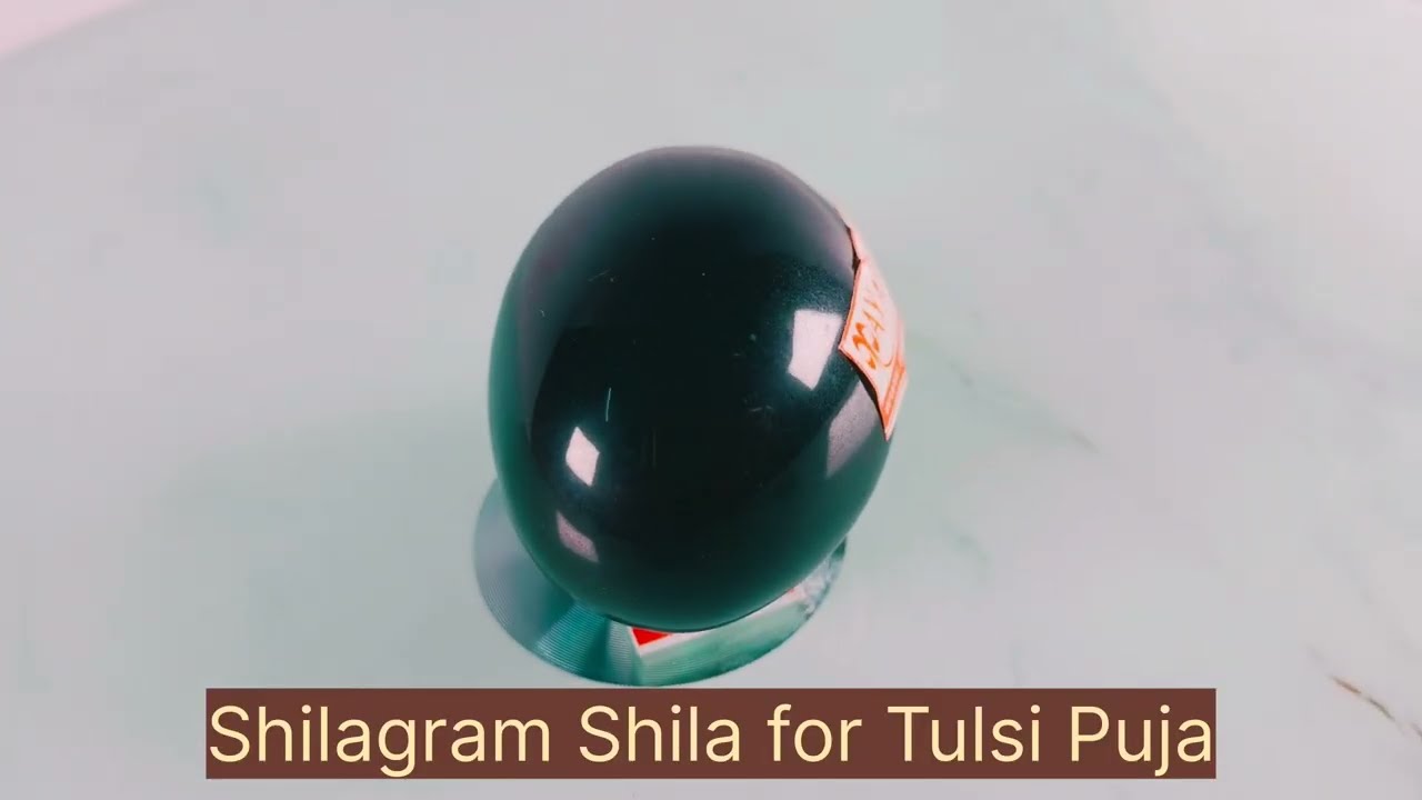 MAYAPURI Natural Shaligram Shila for Lord Vishnu Puja | Shaligram Stone for Tulsi Pooja