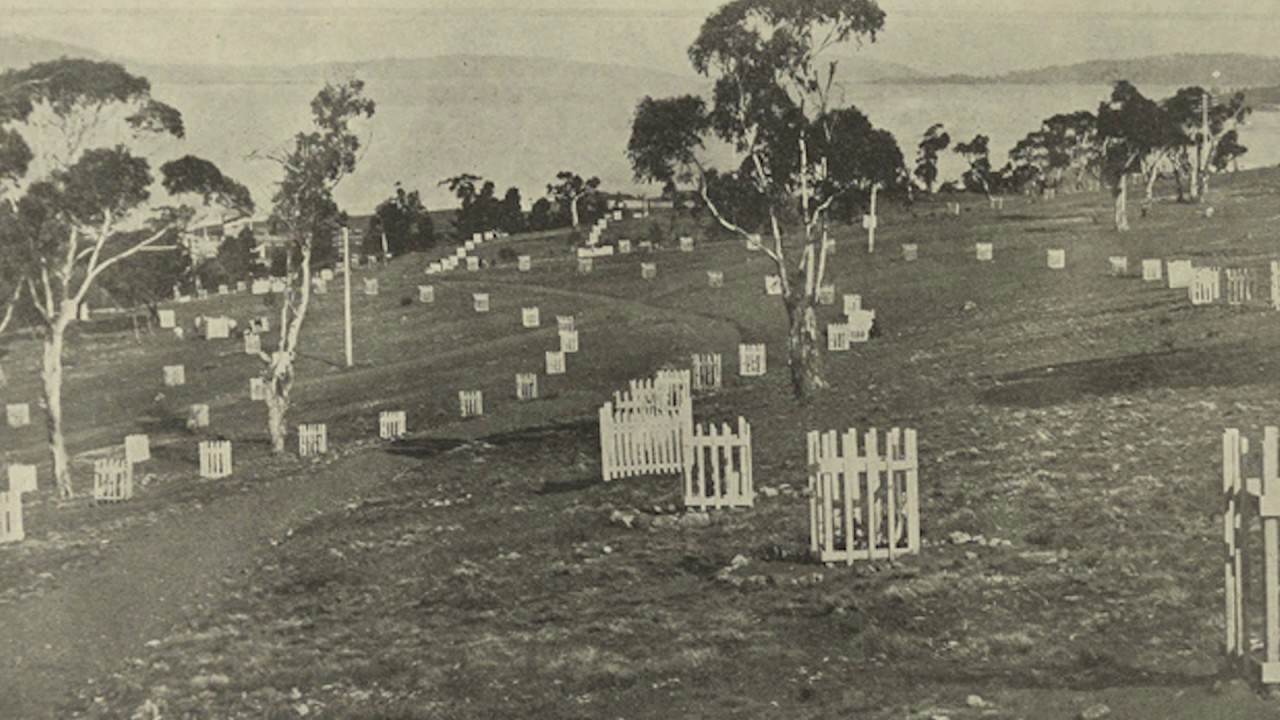 After the War - The Suspense is Awful: Tasmania and the Great War