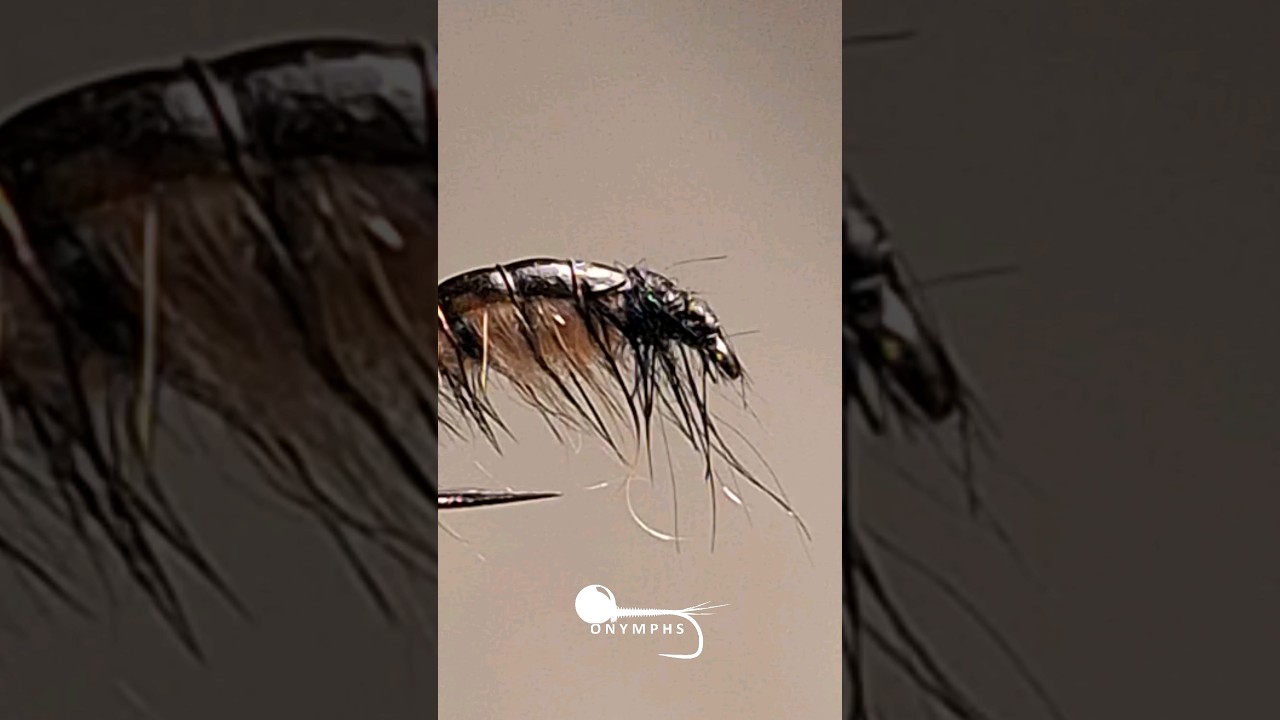 Czech Nymph Scud for Winter Trout and Grayling! #flytying #flyfishing #fishing  #satisfying #asmr
