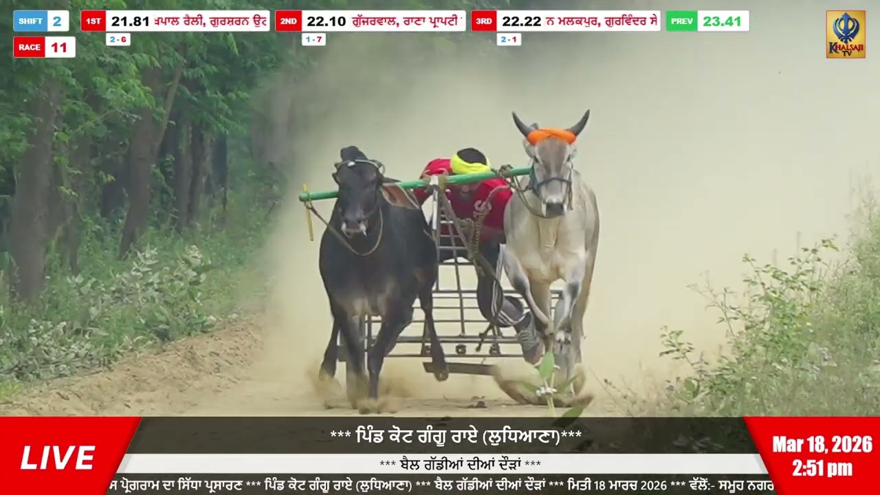 ਕੋਟ ਗੰਗੂ ਰਾਏ ਮੇਲੇ ਦੀ ਜੇਤੂ ਜੋੜੀ | ਬੈਲ ਗੱਡੀਆਂ ਦੀਆਂ ਦੌੜਾਂ | बैलगाड़ी दौड़ | Ox Races | 18 Mar 2026