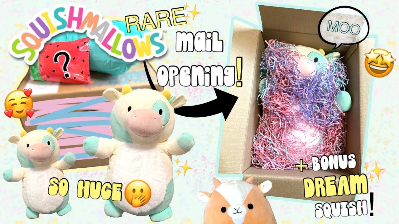 RARE🤩SquishMail Opening! Getting a HUGE❗️Hugmee🐮Cow + Even MORE Dream✨Squish! w/ HAUL! (Mercari)