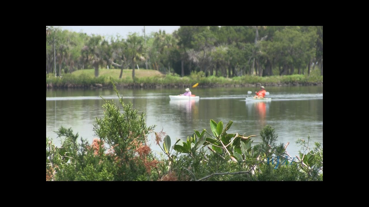 Gems of the Nature Coast:  Ozello