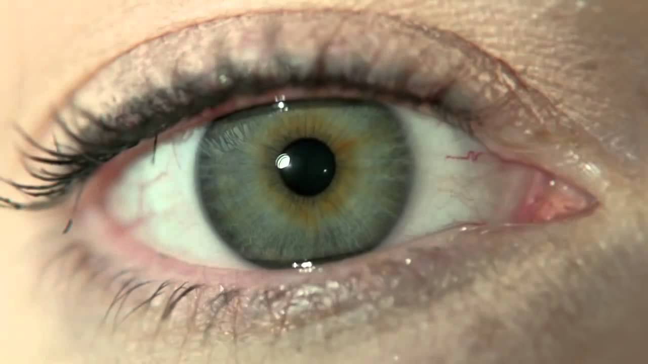 Outcast Season 1 Trailer (HD) Patrick Fugit