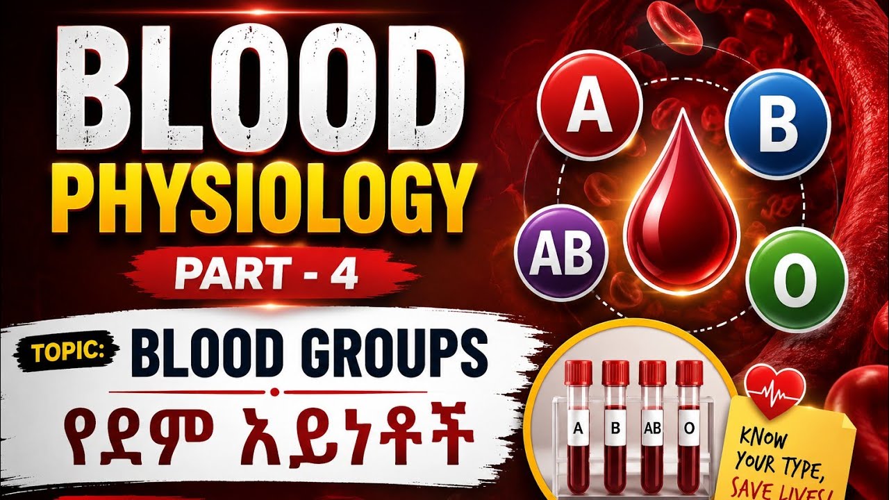 Blood Groups |  የደም አይነቶች | ስለ ደም በአማርኛ | ክፍል - 4| Physiology |ፊዚዩሎጂን በጥልቀት|